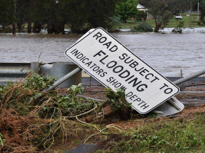 NSW Premier Dominic Perrottet says fixing 10,000km of flood-damaged roads remains a priority. (Murray McCloskey/AAP PHOTOS)