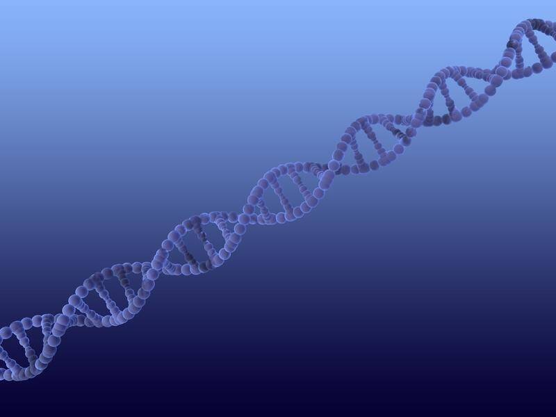 A new DNA analysis program could potentially find specialised treatment for cancer patients.