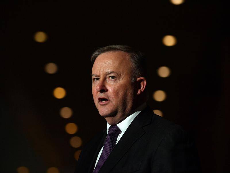 Anthony Albanese says there has been a missed opportunity to stimulate the economy.