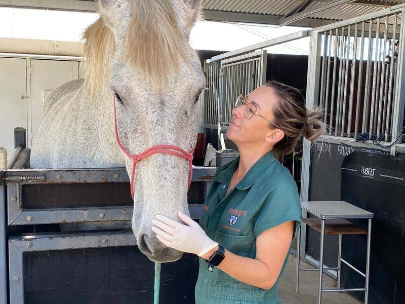 Sarah Golding is on a mission to help other vets strengthen their resilience and wellbeing. (HANDOUT/GOWRIE VET CLINIC)