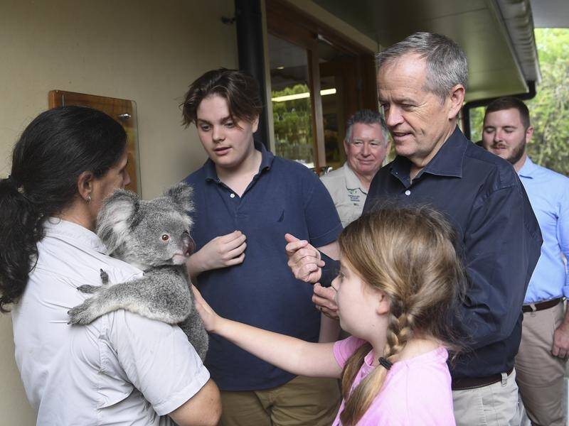 Labor leader Bill Shorten is focusing on environmental issues as he campaigns north of Brisbane.