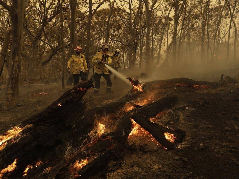 Firefighters do their best to contain a spot fire during the devastating 2020 ACT bushfires. (Sean Davey/AAP PHOTOS)
