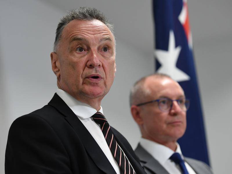 A review by Craig Emerson (L) and Jay Weatherill says Labor's election campaign lacked strategy.