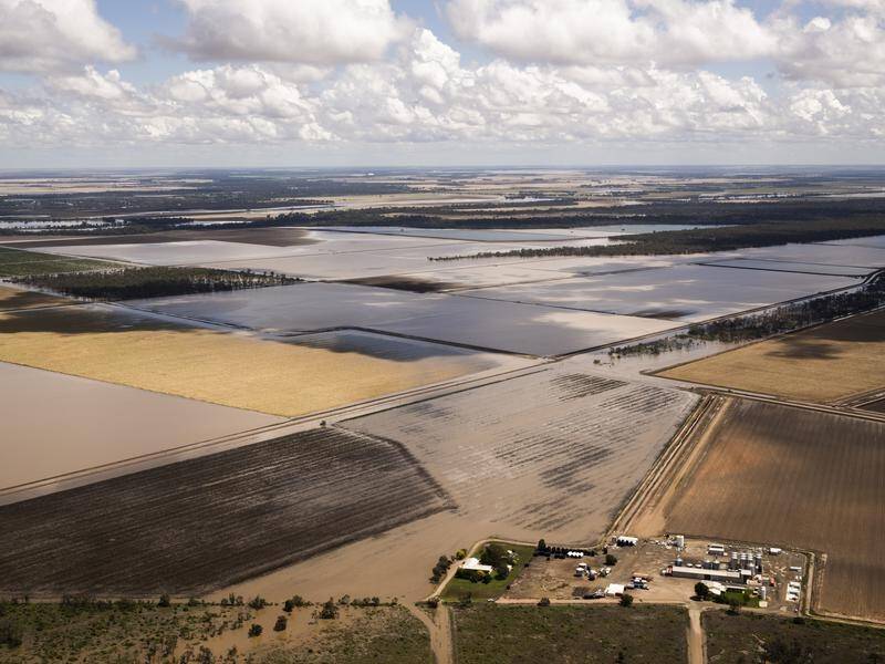 Flood waters come and go across rural Australia but expose lingering emotional and physical scars. (Louise Kennerley/AAP PHOTOS)