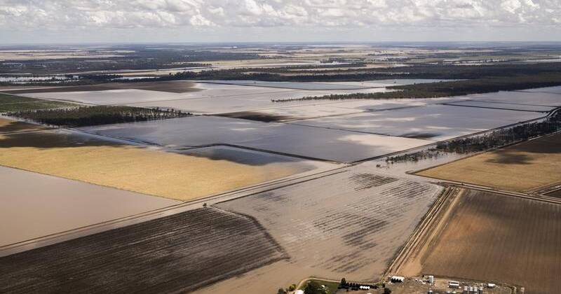 The long-lasting tail of flood devastation - The Canberra Times