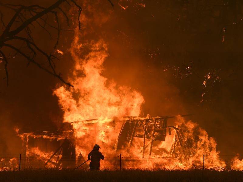 The upcoming bushfire season is being compared to the Black Summer of 2019/2020 when 34 people died. (Dan Himbrechts/AAP PHOTOS)