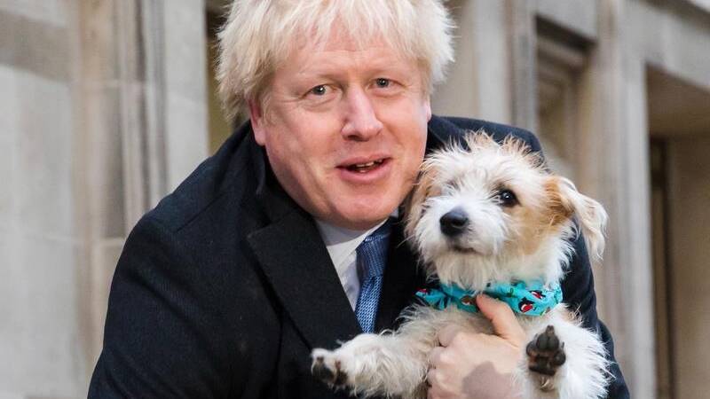British Prime Minister Boris Johnson took his dog Dilyn to the polling station on election day.