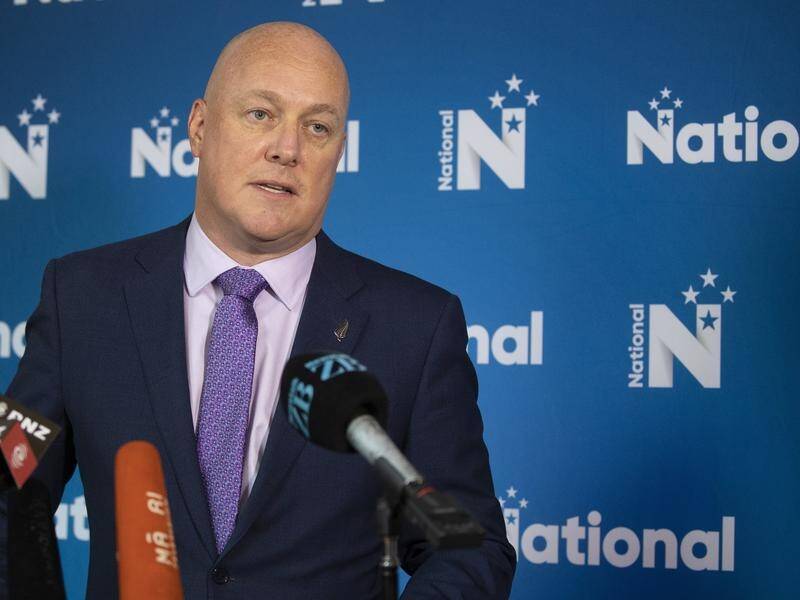 New Zealand's The opposition National party has its groove back under new leader Chris Luxon.