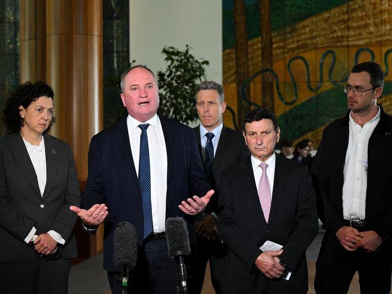 Several MPs, including Barnaby Joyce, will lobby US officials to stop pursuing Julian Assange. (Lukas Coch/AAP PHOTOS)