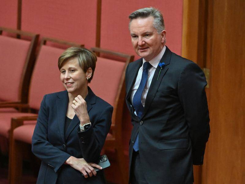 Chris Bowen says the bill strengthens the accountability of future governments on climate change. (Mick Tsikas/AAP PHOTOS)