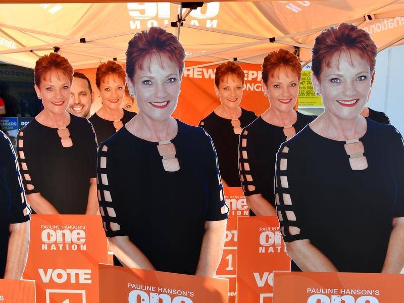 A senior member of Pauline Hanson's One Nation party has been charged with fraud.