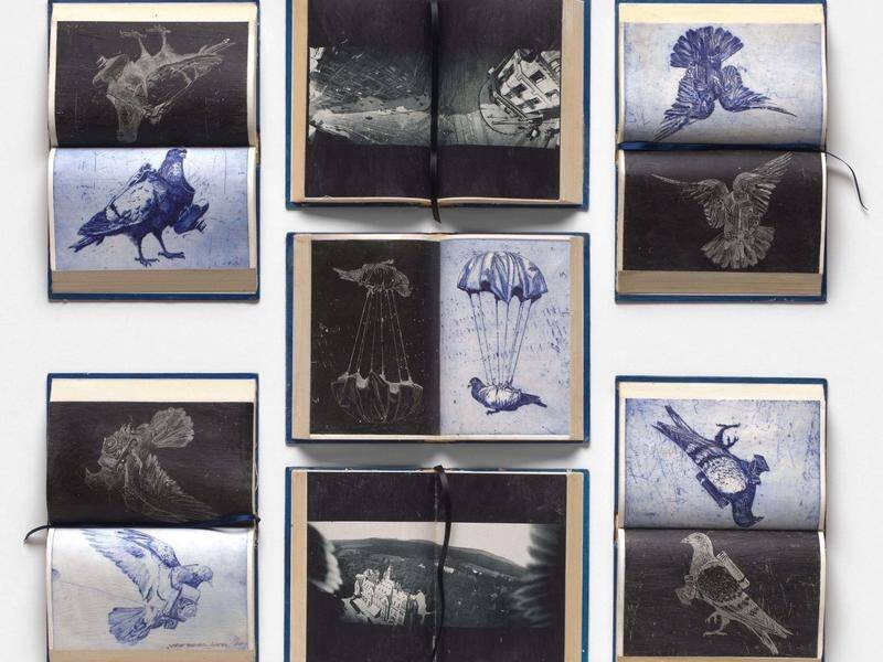 Printmaker Martin King's War Pigeon Diaries has won the Gallipoli Art Prize for 2019.