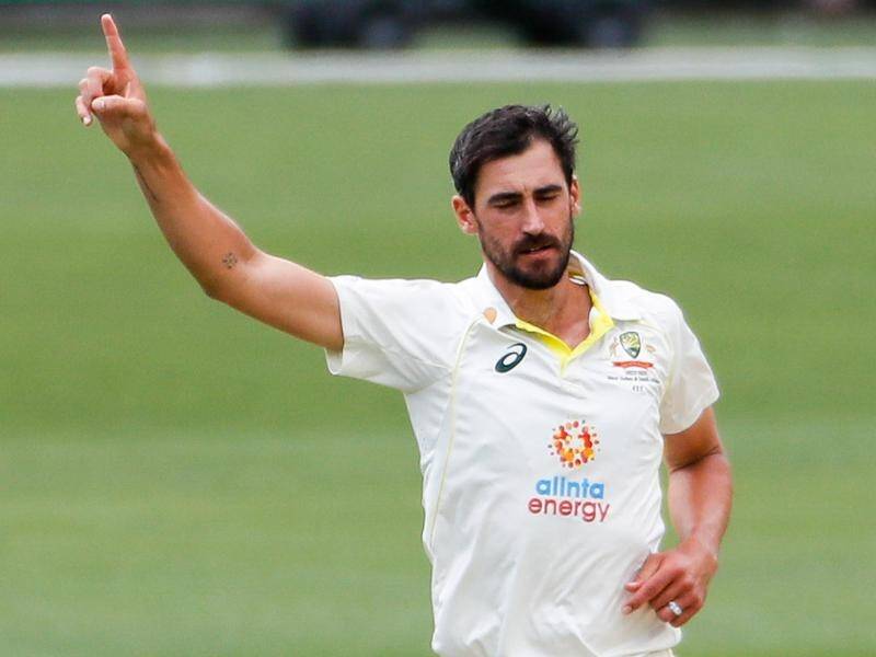 Mitchell Starc is a chance of taking his 300th Test wicket against South Africa at the Gabba. (Matt Turner/AAP PHOTOS)