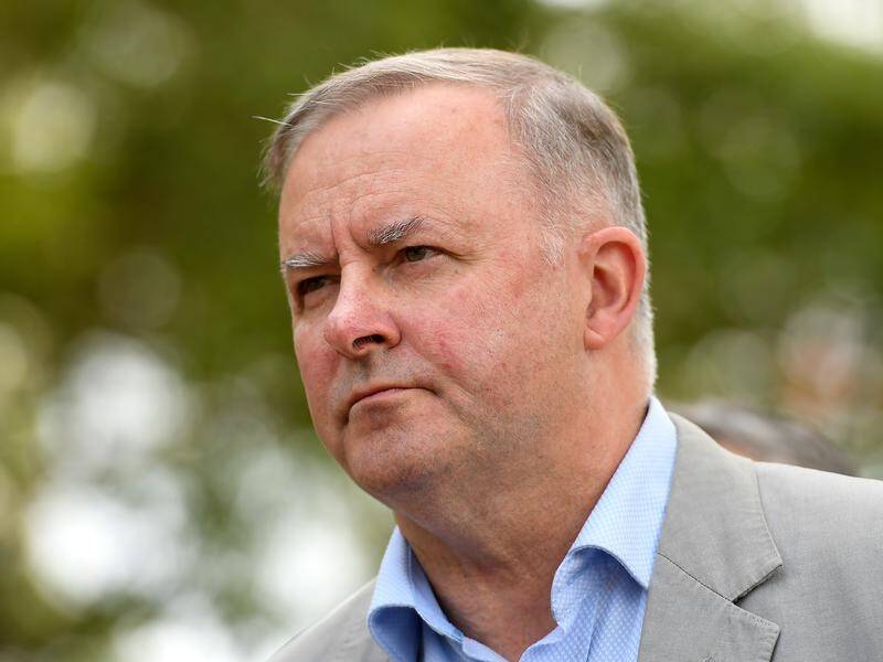 Continuous scandals show the government isn't interested in integrity, Anthony Albanese says.