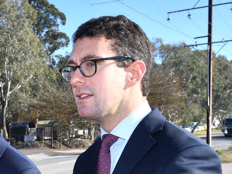 South Australia's new premier says independent Dan Cregan will be asked to continue as speaker.