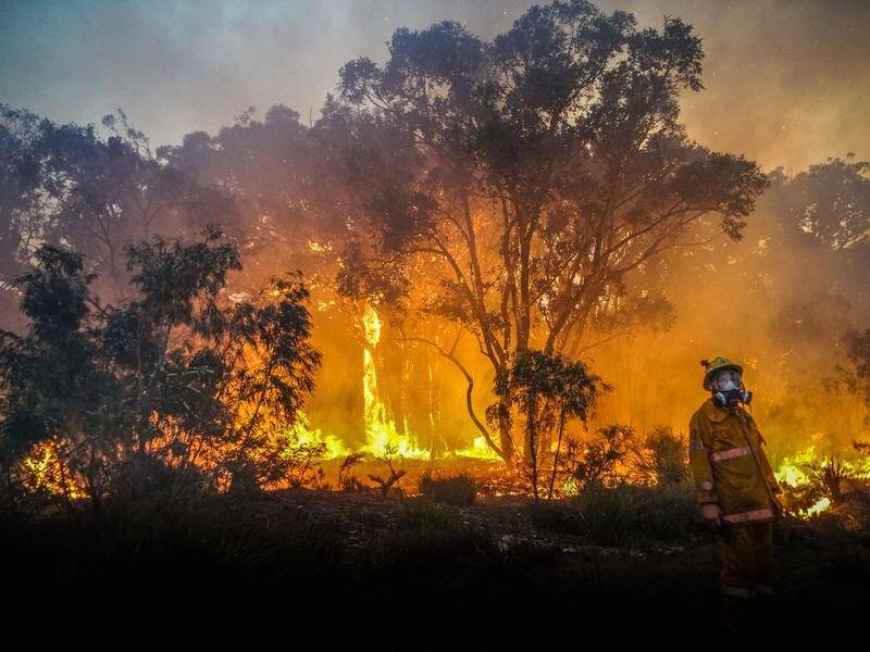 A bushfire has ripped through almost 5500 hectares of the Leeuwin-Naturaliste National Park.