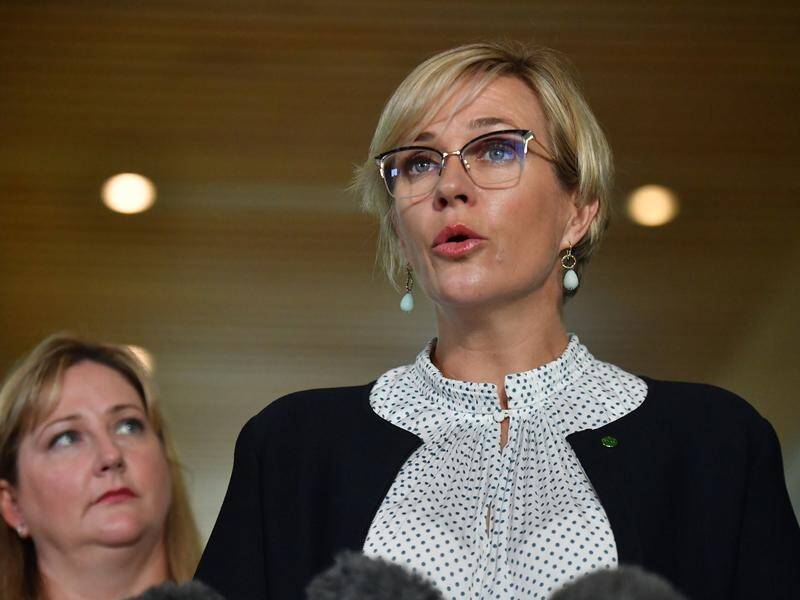 Independent federal MP Zali Steggall's climate change bill includes net zero emissions by 2050.