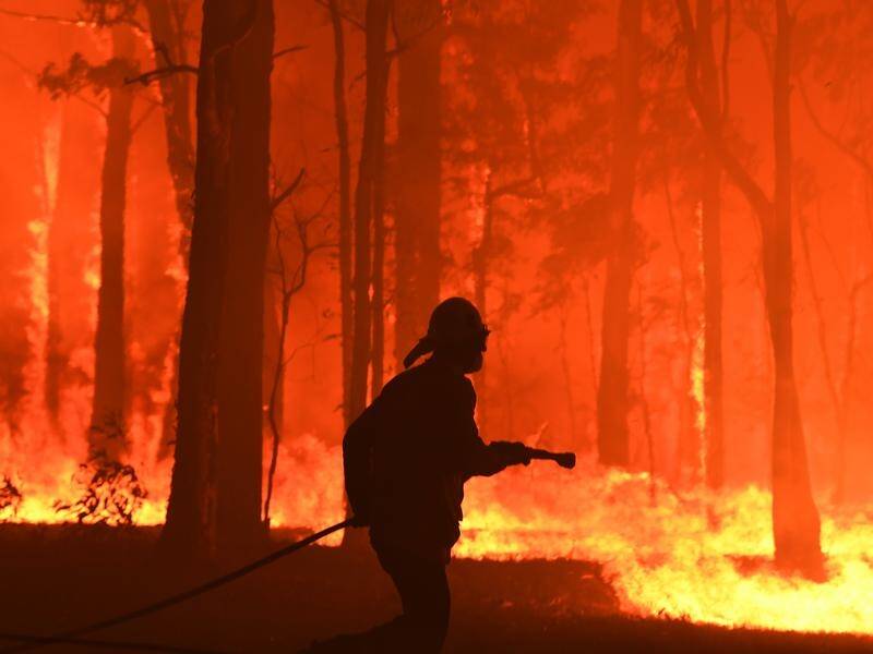 Farmers and firefighters have joined a push for the prime minister to declare a climate emergency.