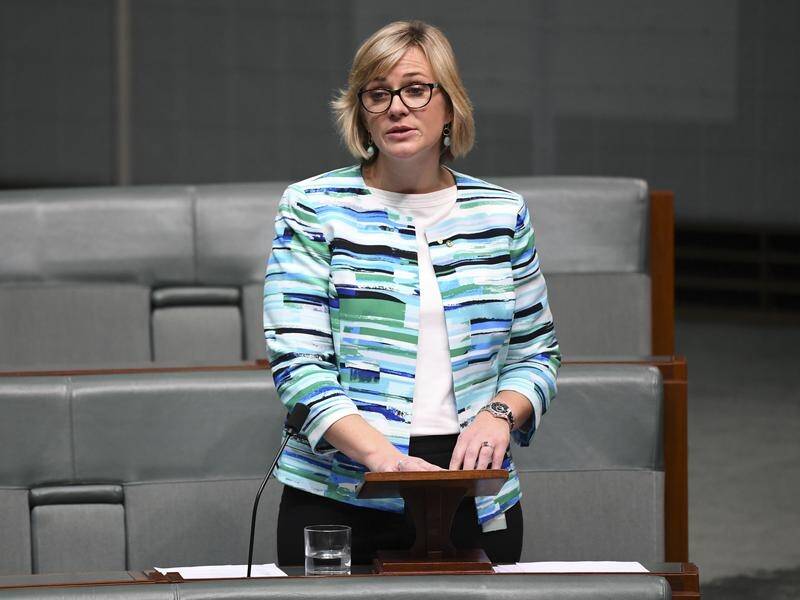 Federal Warringah MP Zali Steggall calls for a climate emergency declaration in her maiden speech.