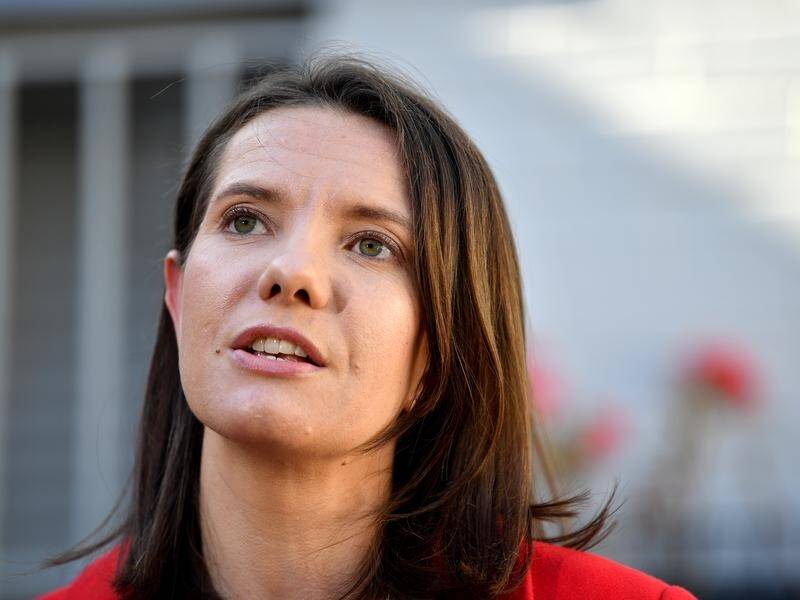 The NSW Health-led PACER program was "not up to the task", Mental Health Minister Rose Jackson said. (Bianca De Marchi/AAP PHOTOS)
