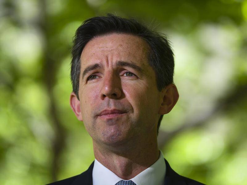 Trade Minister Simon Birmingham said "these are tough times for many trade-exposed businesses".