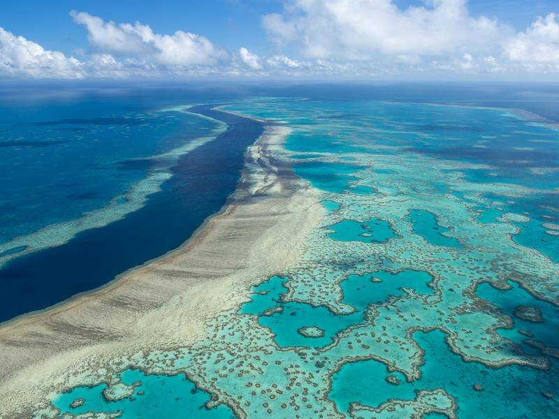 The Great Barrier Reef could be bleaching every year by 2044, the latest climate report says.