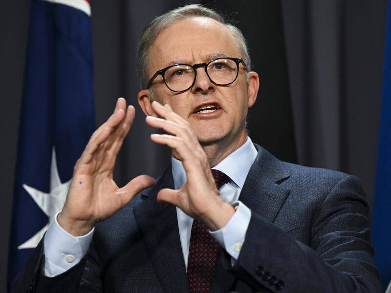 Anthony Albanese says Australia isn't in a position to purchase every island in the Pacific. (Lukas Coch/AAP PHOTOS)