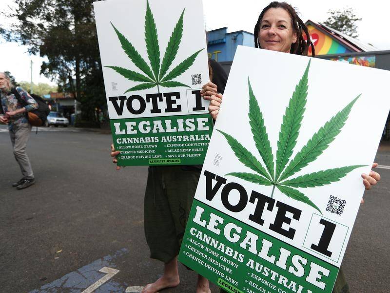 The Qld government is in no rush to legalise recreational cannabis use for individuals. (Jason O'BRIEN/AAP PHOTOS)