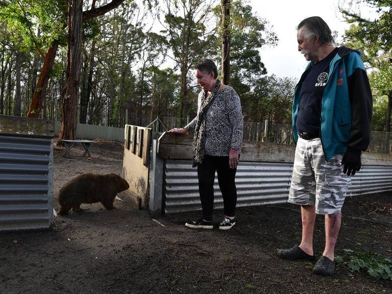 Wildlife rescuers Lex and June Frew were badly burnt during the NSW New Year's Eve bushfires.