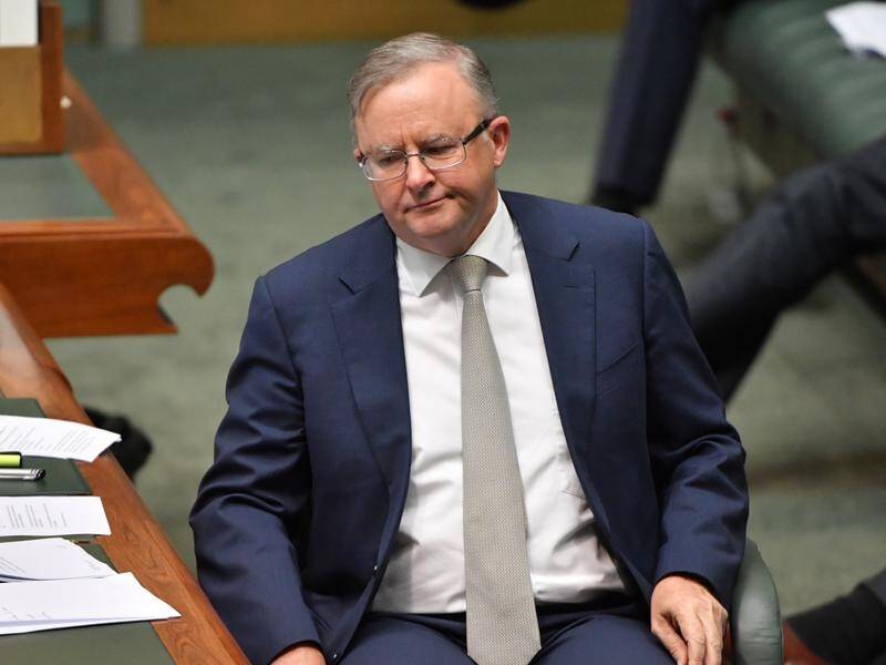 An analysis of Newspolls shows Opposition Leader Anthony Albanese struggling to build support.
