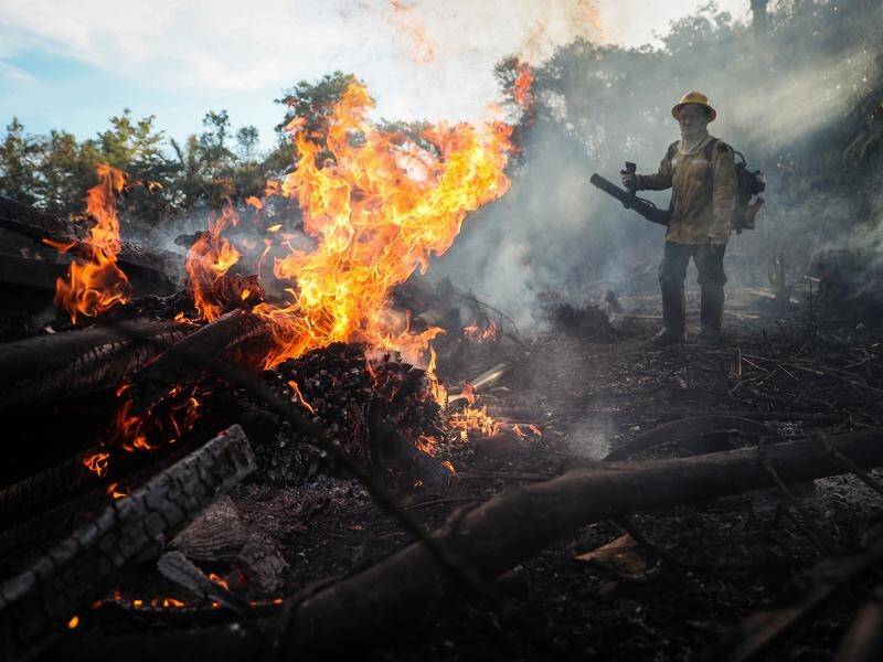 Deforestation in Brazil's Amazon in August was 222 per cent higher than the same time last year.