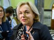 Minister Judith Collins says NZ defence decisions will be made after the Capability Plan in June. (Mark Coote/AAP PHOTOS)