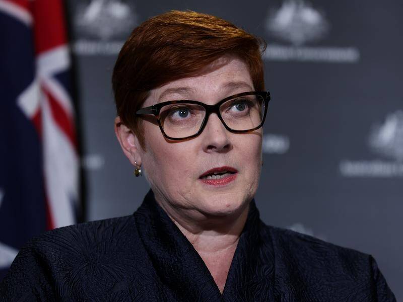 Foreign Minister Marise Payne says the sanctions ban the abusers from using Australia as a haven.