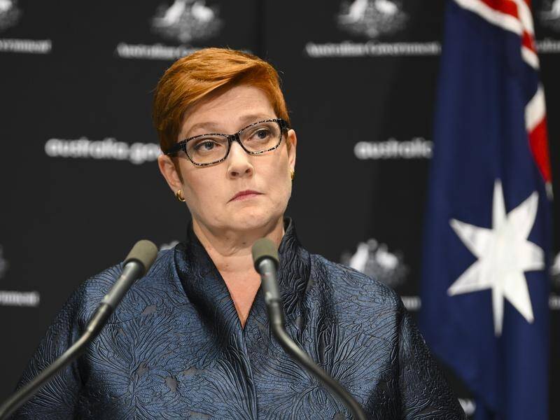 Foreign Minister Marise Payne wants China's role into the spread of COVID-19 investigated.