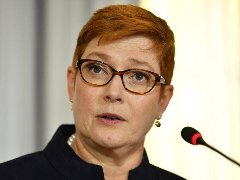 Foreign Minister Marise Payne spoke at the Global Conference for Media Freedom in London.