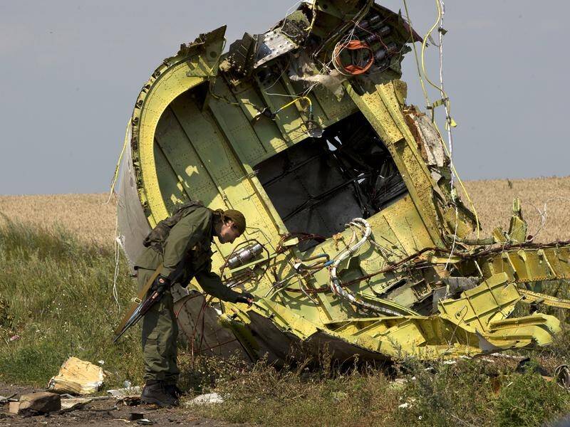 The team probing the downing of flight MH17 over Ukraine has asked Russians for information.