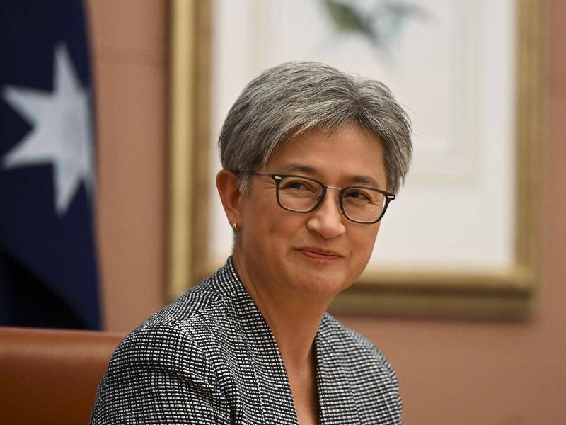 A Russian billionaire is suing Foreign Affairs Minister Penny Wong over government sanctions. (Lukas Coch/AAP PHOTOS)