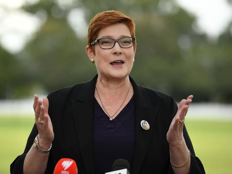 Marise Payne has called on China not to conflate trade issues with anger over a coronavirus inquiry