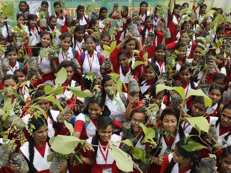Schoolchildren were among a million Indians who planted 220 million saplings in Uttar Pradesh.