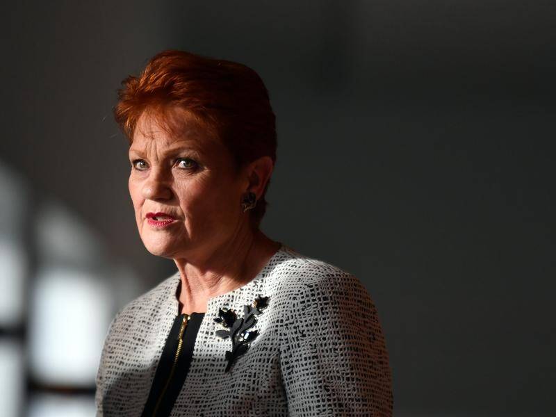 Pauline Hanson has been appointed deputy chair of the inquiry into the family law system.