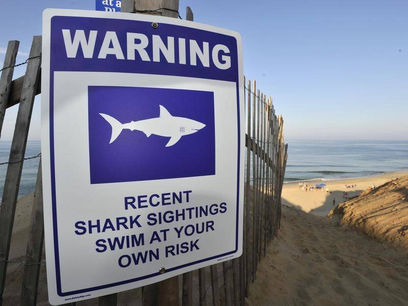 The US continues to rank first worldwide in shark attacks, the International Shark Attack File says.