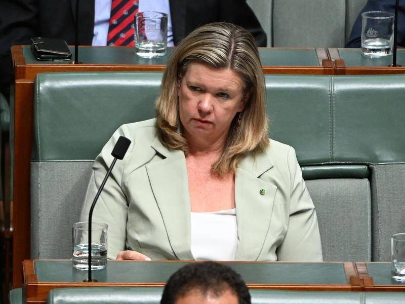 Liberal MP Bridget Archer has rebuked her own side for refusing to engage on a safeguard mechanism. (Mick Tsikas/AAP PHOTOS)