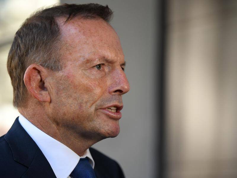 The UK government is being urged not to give Tony Abbott a senior trade role.