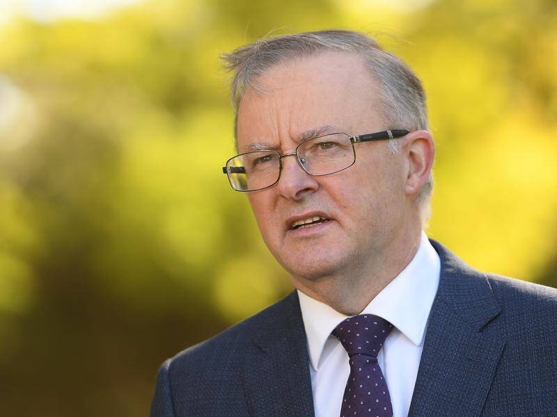 Mr Albanese is defending Labor's diversity, after a party row over a western Sydney seat.
