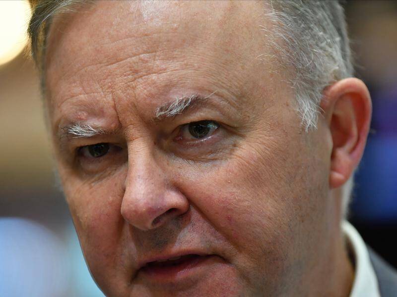 Opposition Leader Anthony Albanese says COVID-19 border restrictions have made Queenslanders safe.