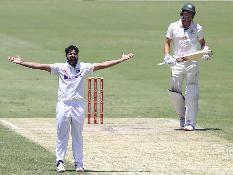 India's Shardul Thakur celebrates the wicket of Pat Cummins on his way to figures of 3-94.