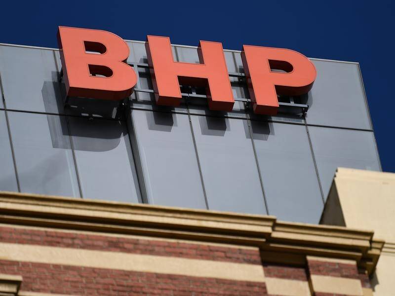 BHP has tentatively backed a register of sexual offenders in WA's fly-in, fly-out mining sector.