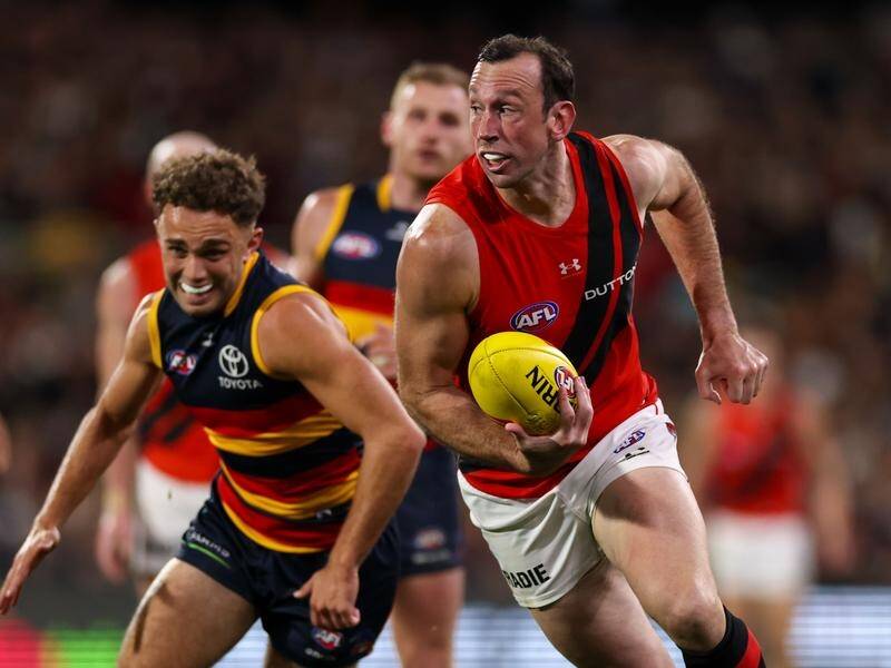 Todd Goldstein (r) is loving his time at Essendon and doing the hard yards before taking on Norths. (Matt Turner/AAP PHOTOS)