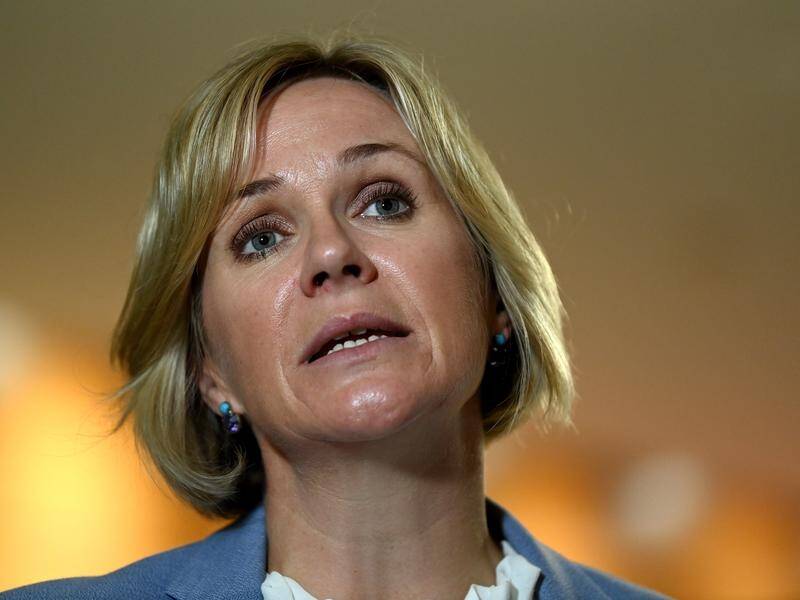 Independent MP Zali Steggall says the federal government has not prioritised renewable energy.