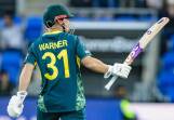 The T20 World Cup is the final leg of Dave Warner's long farewell tour. (Linda Higginson/AAP PHOTOS)